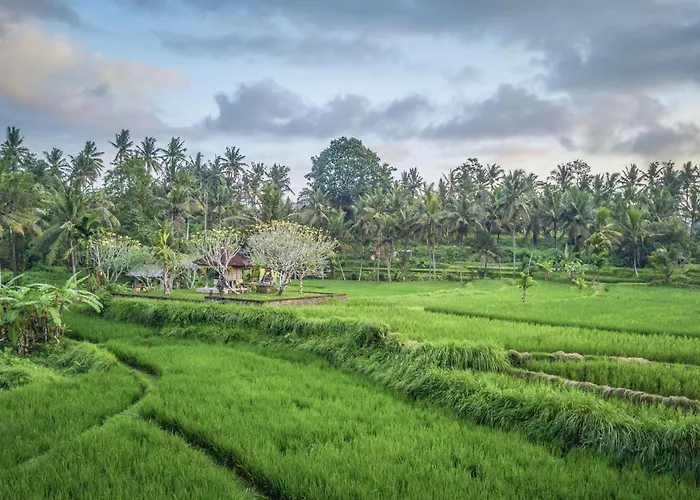 Luxury Oasis - Stunning At The Gateway To