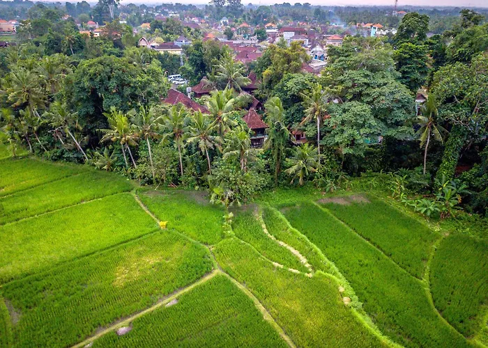 Villa Luxury Oasis - Stunning At The Gateway To Ubud