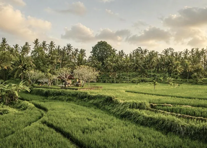 Villa Luxury Oasis - Stunning At The Gateway To Ubud